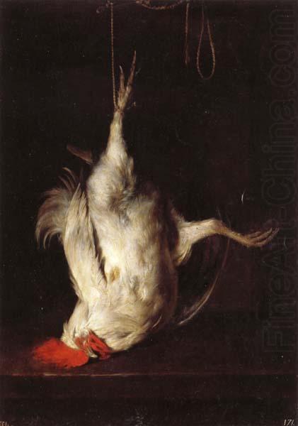 Gabriel Metsu Dead Cock china oil painting image